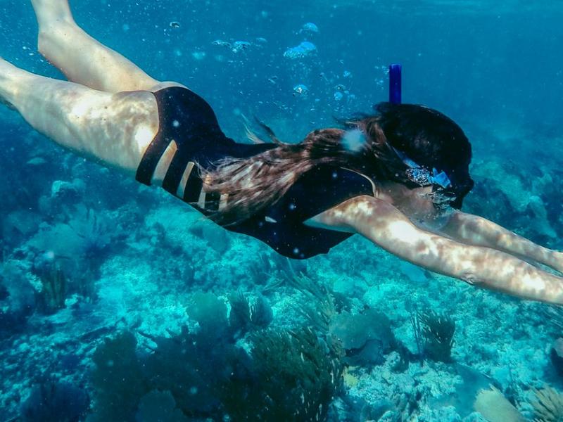Snorkeling Blue Diamond Wellness Resort Riviera Maya Snorkeling Blue Diamond Wellness Resort Riviera Maya